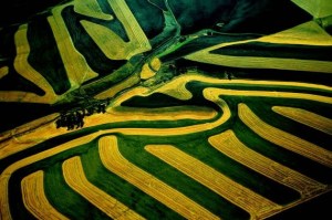Yann Arthus Bertrand- La Terre vue du Ciel