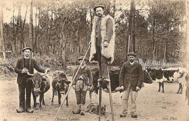 Bergers-landais-en-1915