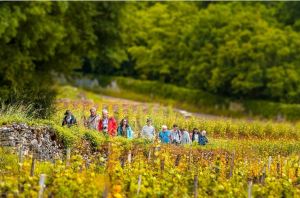 Photos de Eric Larrayadieu